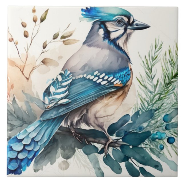 Bluejay em uma aquarela de ramificação (Frente)