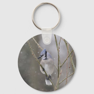 Bluejay no chaveiro da neve