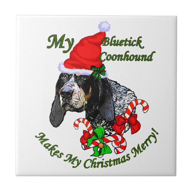 Bluetick Coonhound Natal (Frente)