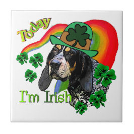Bluetick Coonhound St Patricks