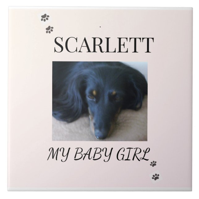 Blush Minimal Pet 1 Photo with Paw Prints (Frente)