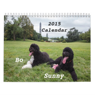 BO 2015 e calendário ensolarado