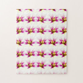 Boa Sorte, Quebra-cabeça Floral Rosa Rosa!