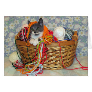 Bob Spinn'in um cartão do fio