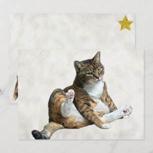 Bobo Gato Pose - Cartão de Saudação Simples da Ann