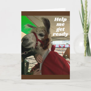 **BOBO LLAMA** DIGA CARTÃO DE ANIVERSÁRIO FELIZ