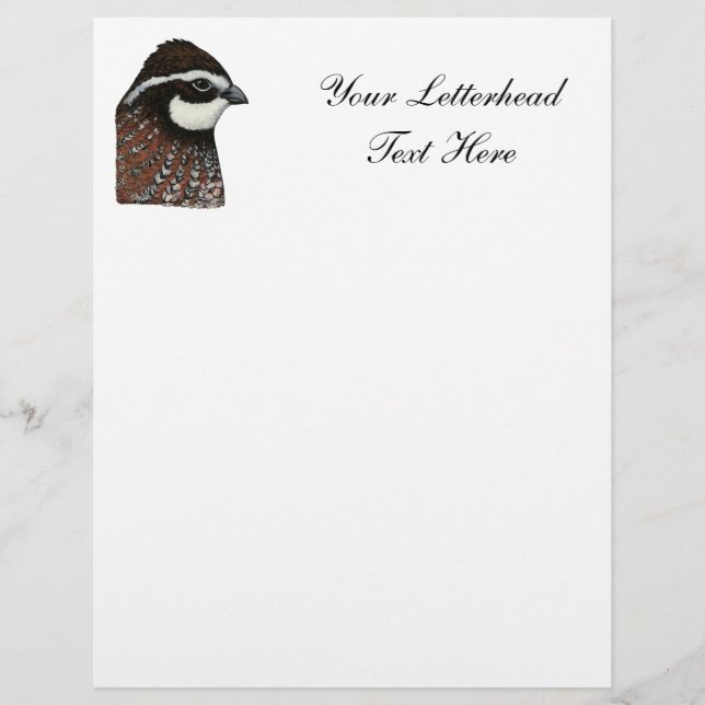 Bobwhite Quail Head (Frente)