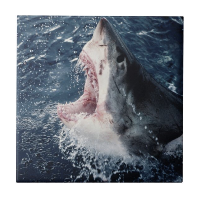 Boca de tubarão elevada aberta (Frente)