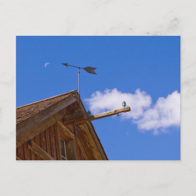 Bodie Ghost Town Aponta O Jeito Do Cartão Postal (Frente)