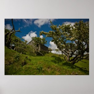 Bodmin amarra o poster