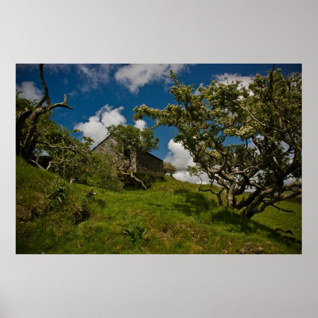 Bodmin Moor Poster (Frente)