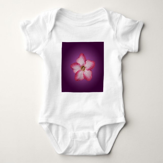 Body Para Bebê Adenium Flor Flora Gradiente Violeta Rosa (Frente)