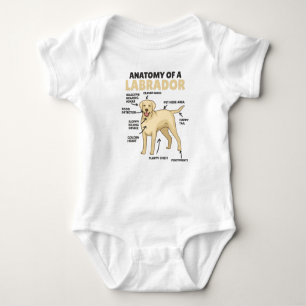 Body Para Bebê Anatomia De Um Labrador Retriever Cães Doce