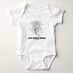 Body Para Bebê Apenas sendo renal (rim Nephron)