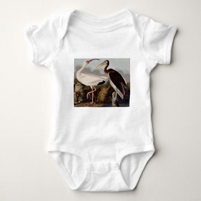 Body Para Bebê Audubon White Ibis Bird Willife (Frente)