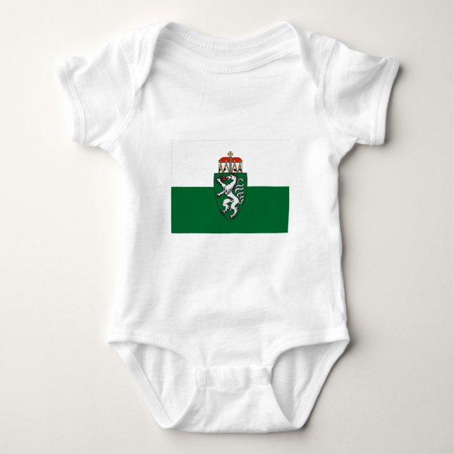 Body Para Bebê Bandeira de Styria, Áustria (Frente)