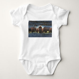 Body Para Bebê Bela Búfalo Herd