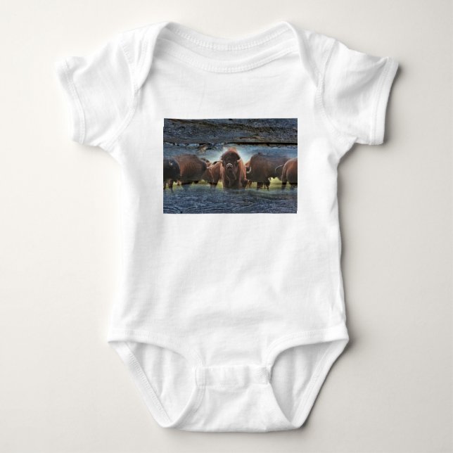 Body Para Bebê Bela Búfalo Herd (Frente)