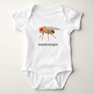 Body Para Bebê Bodysuit do bebê da drosófila
