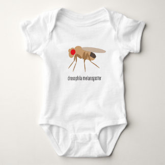 Body Para Bebê Bodysuit do bebê da drosófila