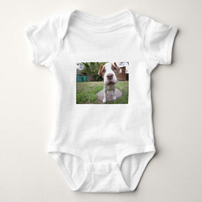 Body Para Bebê Cachorro Curioso (Frente)