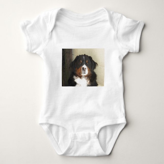 Body Para Bebê Cão de Bernese (Frente)