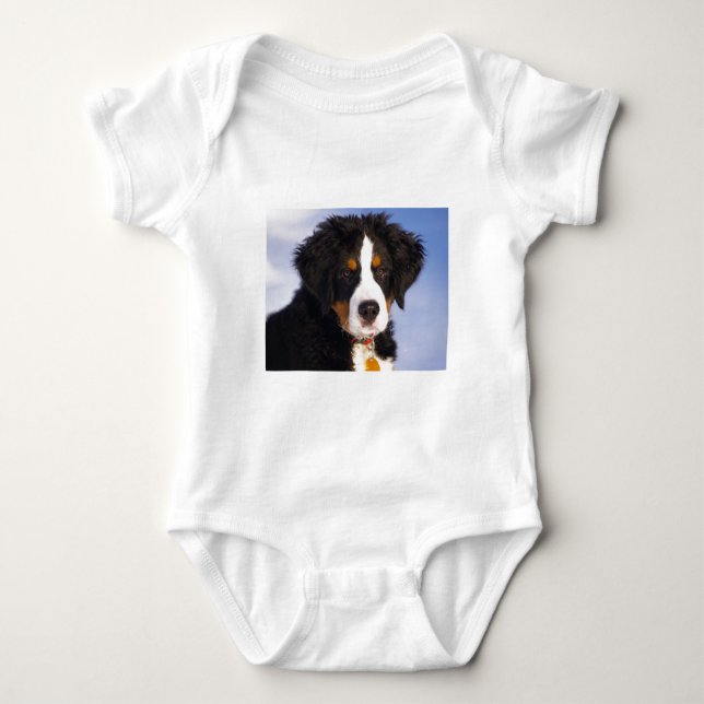 Body Para Bebê Cão-de-montanha Boné Bernês (Frente)