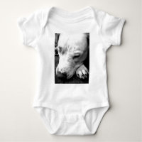 cicatriz do harry potter cachorro pit bull branco