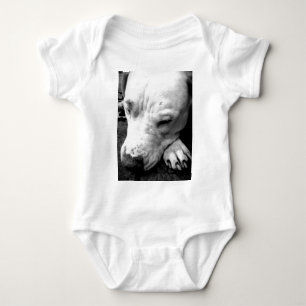 Body Para Bebê cicatriz do harry potter cachorro pit bull branco