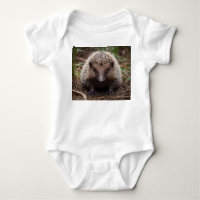 **"Começos Espiosos: O Adorável Bebê Echidna"**
