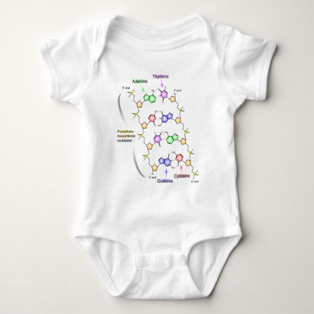 Body Para Bebê Diagrama detalhado da estrutura química do ADN (Frente)