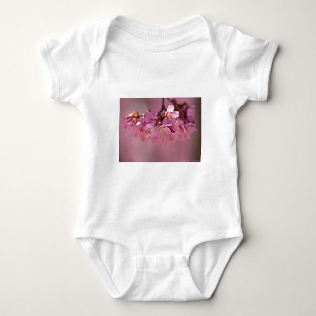 Body Para Bebê Flor de Cerejeira Fonte Termal  2012 Roupas  & Pre (Frente)