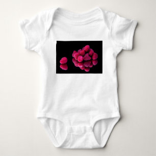 Body Para Bebê Framboesa - Vida Estática