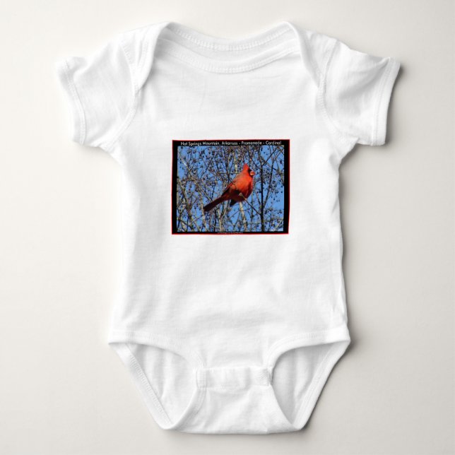 Body Para Bebê Hot Springs Mountain Promenade  Presentes Cardinal (Frente)