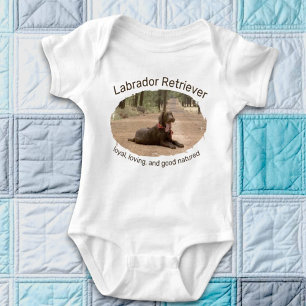 Body Para Bebê Labrador Chocolate em uma Trilha Florestal Foto Su