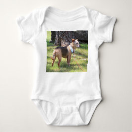 Body Para Bebê Lily