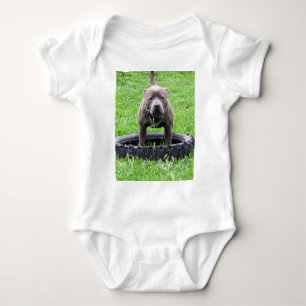 Body Para Bebê Macho Adulto Staffordshire Terrier Pronto Para Bri