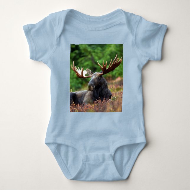 Body Para Bebê Moose (Frente)