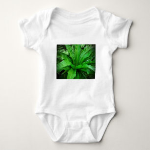 Body Para Bebê Nest Fern de Bird