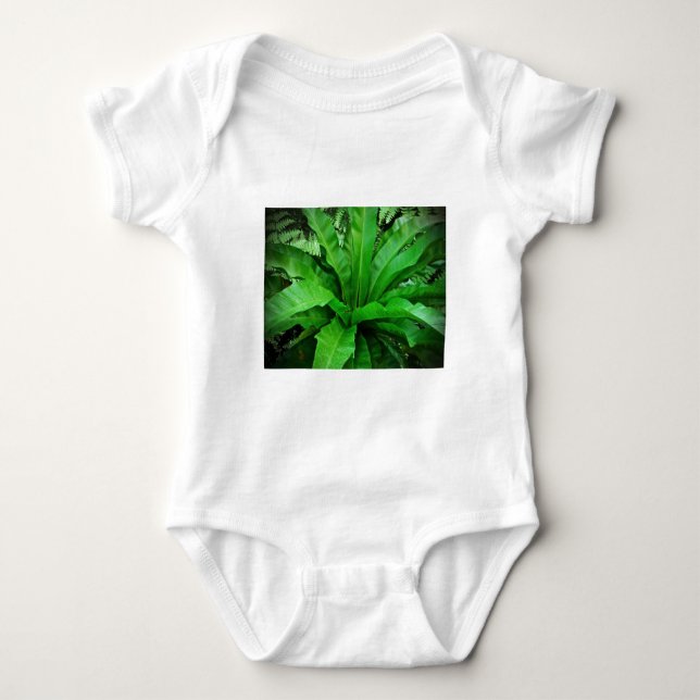 Body Para Bebê Nest Fern de Bird (Frente)
