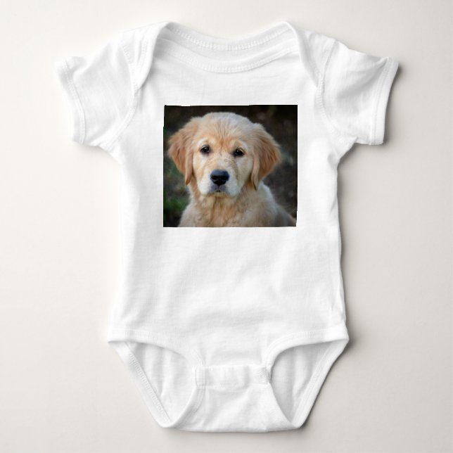 Body Para Bebê Ouro Retriever Puppy (Frente)