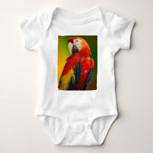 Body Para Bebê Papagaio-de-maçarica