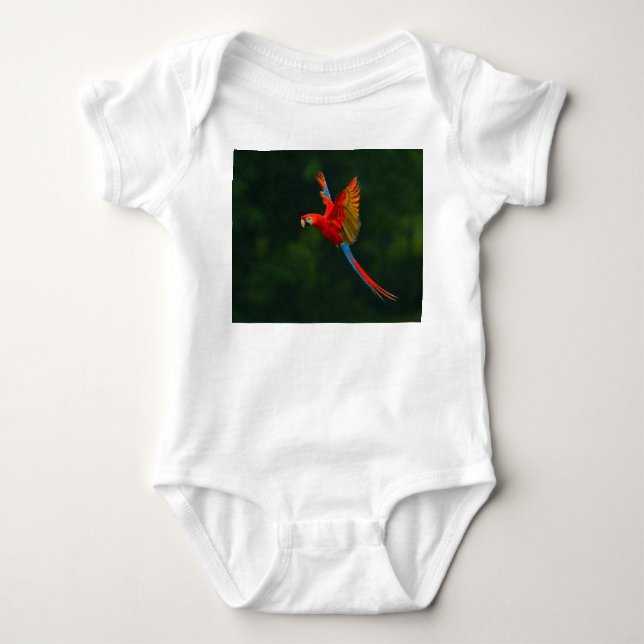 Body Para Bebê Papagaio em Voo (Frente)