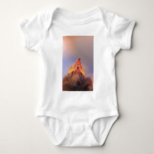 Body Para Bebê Pássaro Bebê 2