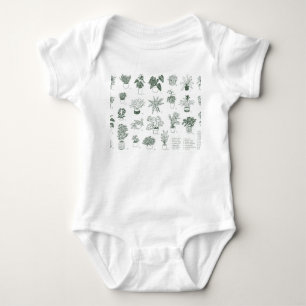 Body Para Bebê Plantas interiores: vintage sorvido à mão.