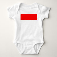 Sinalizador Indonésia