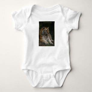 Body Para Bebê Tigre