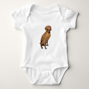 Body Para Bebê Vizsla (B)