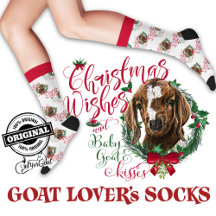 Boer de Natal Goat Deseja Meias