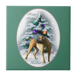 Boerboel Natal